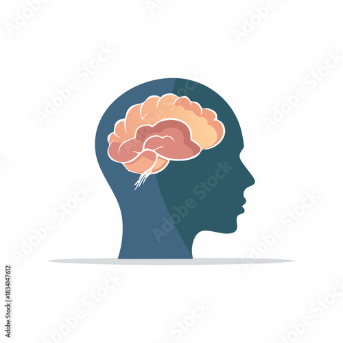 Profile Silhouette with Visible Brain Illustrating Thought and Mind Concepts