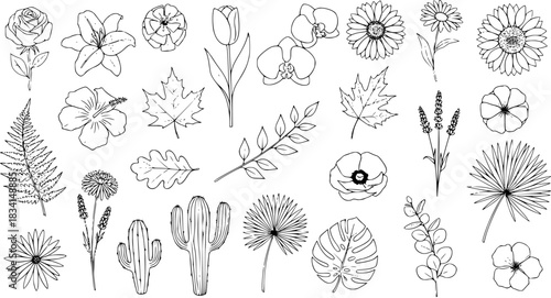 Diverse Botanical Line Art Collection: Hand-Drawn Floral Elements, Leaves, Cacti, and Branches. Sketchy Outline Illustrations for Nature, Garden, and Design Projects.
