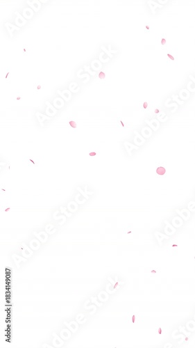 左上から花びらが落ちる桜吹雪のループ動画【縦長ビデオ】4Kのみ:アルファチャンネルあり Only 4K has alpha channel.