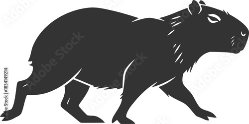 Black capybara illustration walking rodent minimal animal art