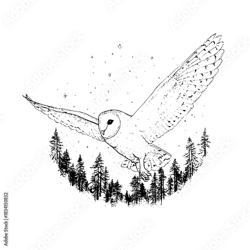 Barn owl flying over a forest with stars in the sky in black and white detailed illustration