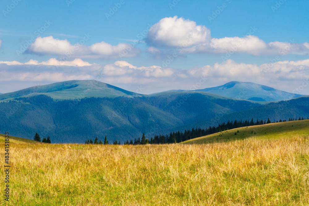 Fototapeta premium The beautiful landscape of the Lotru Mountains Picturesque slopes covered with tall grass and coniferous forest. Southern Carpathians, Romania