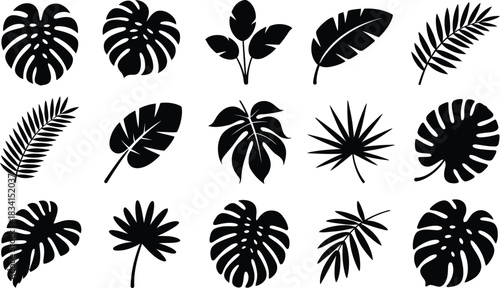 Set of black tropical leaves silhouettes isolated on white background exotic foliage collection botanical elements for design vector illustration nature inspired