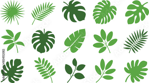 Collection of various tropical leaves silhouettes different shapes and sizes isolated on a white background perfect for summer design and decoration projects