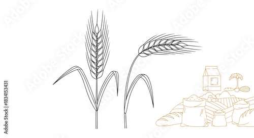 Minimalist line art illustration of wheat stalks in the foreground with a simple outline of a farm landscape in the background.