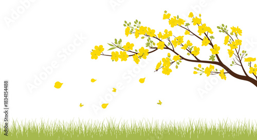 Serene spring scene with a blooming yellow apricot blossom branch with petals blowing in the wind over green grass.