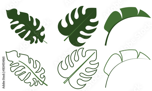 Tropical Leaf Silhouettes for Design Projects. Diverse tropical leaf silhouettes ideal for botanical illustrations, nature graphics, summer themes, and creative design backgrounds.

