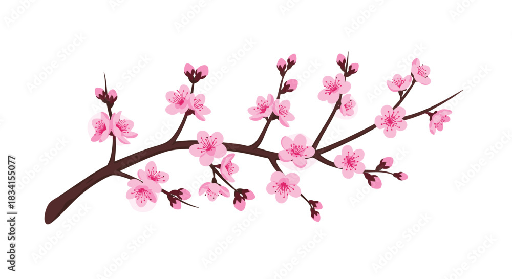Naklejka premium Elegant illustration of a single cherry blossom branch with delicate pink sakura flowers and buds on a white background.