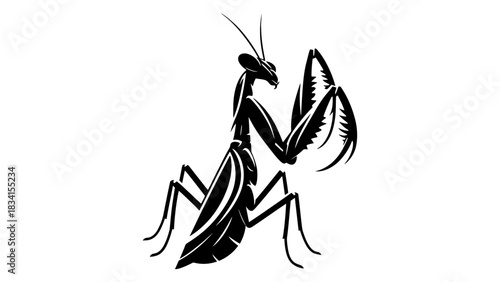 A graphic illustration of a praying mantis in black and white style