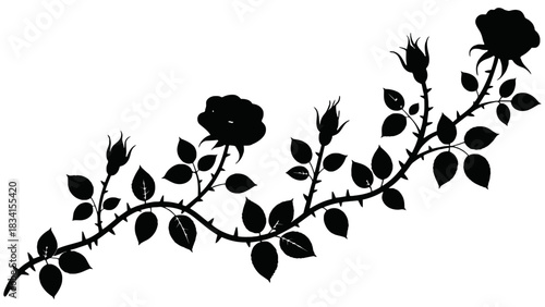 Black silhouette of a rose branch with thorns and leaves on white background