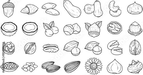 Detailed black and white line art collection of various nuts, seeds, and healthy food items including almonds, walnuts, hazelnuts, coconuts, cashews, sunflower, garlic, and ginger.