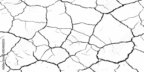 High-contrast cracked earth texture with bold black fracture lines on a clean white background, ideal for abstract backgrounds, design overlays, and minimalist graphic projects. Perfect for stock use.