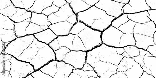 High-contrast cracked earth texture with bold black fracture lines on a clean white background, ideal for abstract backgrounds, design overlays, and minimalist graphic projects. Perfect for stock use.