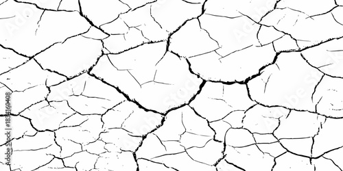 High-contrast cracked earth texture with bold black fracture lines on a clean white background, ideal for abstract backgrounds, design overlays, and minimalist graphic projects. Perfect for stock use.