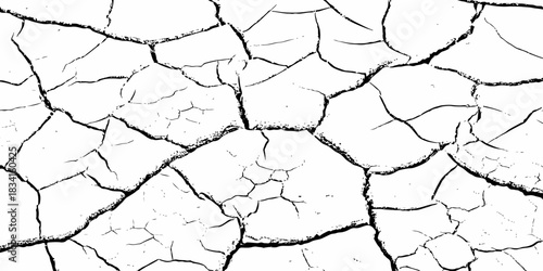 High-contrast cracked earth texture with bold black fracture lines on a clean white background, ideal for abstract backgrounds, design overlays, and minimalist graphic projects. Perfect for stock use.