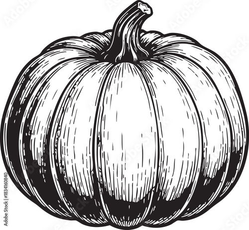 Detailed hand drawn silhouette of a pumpkin isolated on transparent background