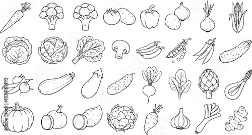 Hand drawn outline vegetables set. Line art collection of various fresh healthy organic veggie icons, isolated on white background for design resources.