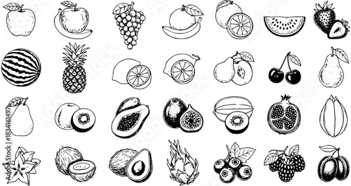 Hand Drawn Fruit Collection Set - Sketchy Doodle Vector Illustrations of Various Healthy Organic Fruits for Food and Nature Designs