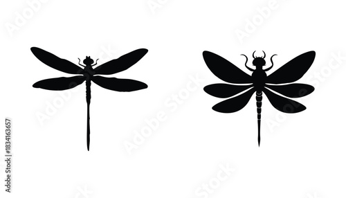Two dragonfly silhouettes isolated on white background for graphic design