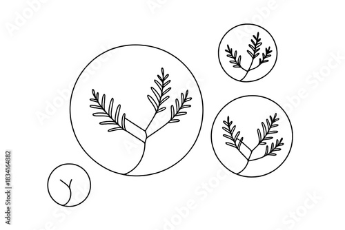 Frozen Bubble Art. Frozen bubbles macro shot. Minimalistic one-line drawing spherical ice bubbles with