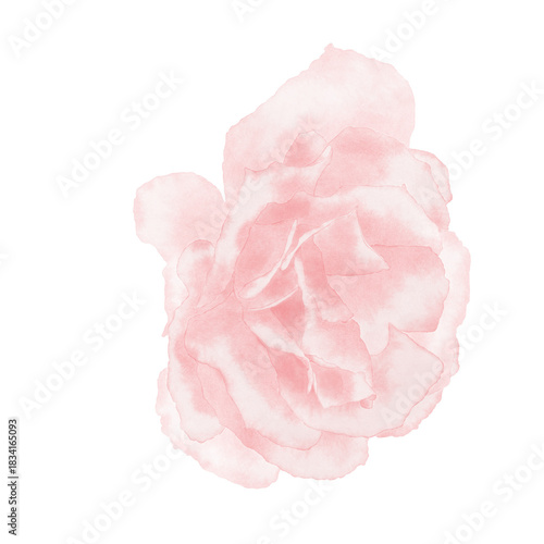 Watercolor illustration of a pink rose flower. A delicate soft pastel palette of colors. Hand-drawn watercolor painting. Romanic spring flower. Can be used for greeting cards, invitations, prints.
