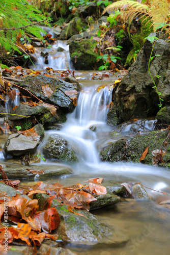 mountain brook in autumn forest