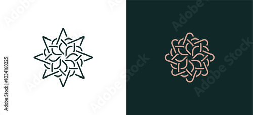 Star flower logo design with floral line art in gold for beauty spa and eco friendly products, leaves, Cosmetics, Jewelry, Beauty salon, Boutique icon symbol sign illustration template