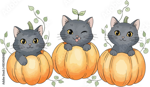 Charming illustration of three gray cats peeking out of carved pumpkins. A happy and playful Halloween scene with adorable kittens