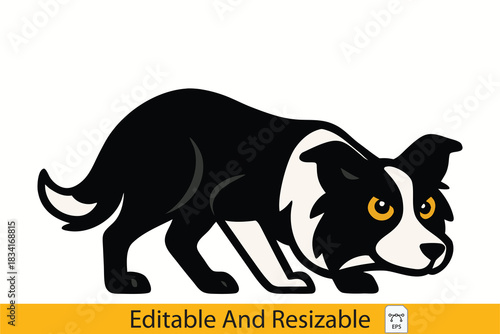 Illustrative Black and White Herding Dog Art A Canine Companion