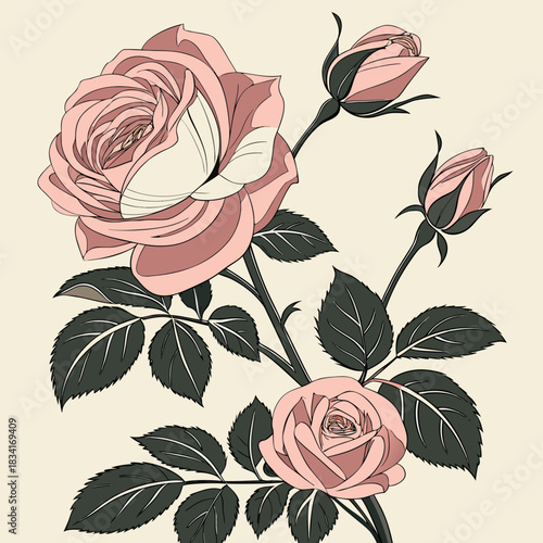 Rose vector art with pink roses and detailed leaves. Perfect for wedding invitations, greeting cards, and floral designs.