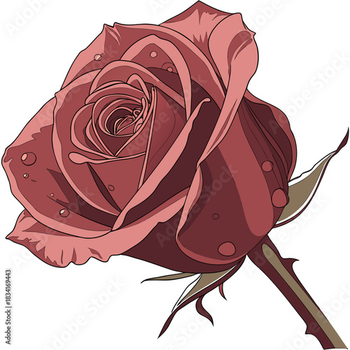 Rose vector with water droplets, ideal for design projects. Great for greeting cards, invitations, posters, and floralthemed designs.