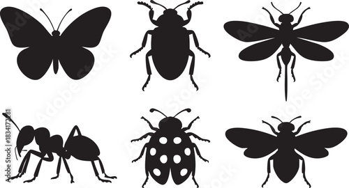 Black silhouette illustrations of six different insects arranged in two rows butterfly beetle