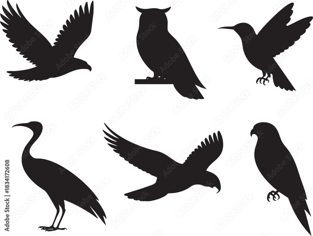 Fototapeta premium Six black bird silhouettes including eagle owl hummingbird crane and hawk white background
