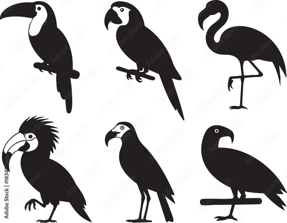 Naklejka premium Six black silhouette graphic elements of tropical birds on white background vector
