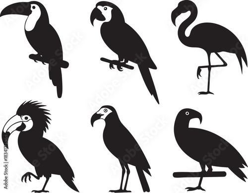 Six black silhouette graphic elements of tropical birds on white background vector