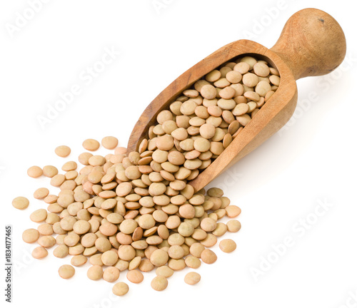 Uncooked brown lentils in the wooden scoop, isolated on white background.