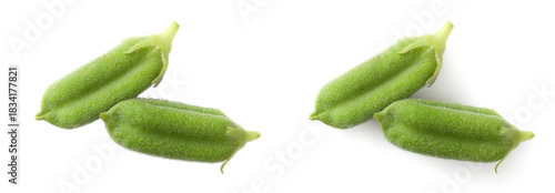 Fresh green sesame pods isolated on the white background, top view.