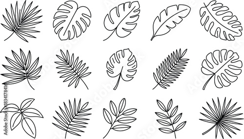 Collection of hand drawn tropical leaves in black and white perfect for botanical illustrations patterns or decorative elements with a natural and artistic feel
