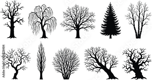 Collection of various tree silhouettes in black and white representing a forest or woodland perfect for graphic design or illustration projects and nature related themes