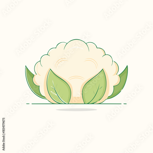 Creamy White Cauliflower With Green Leaves Isolated On A Light Background With Subtle Shadow