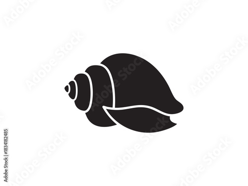 Seashell vector graphic of ocean marine nature conch aquatic shell collection