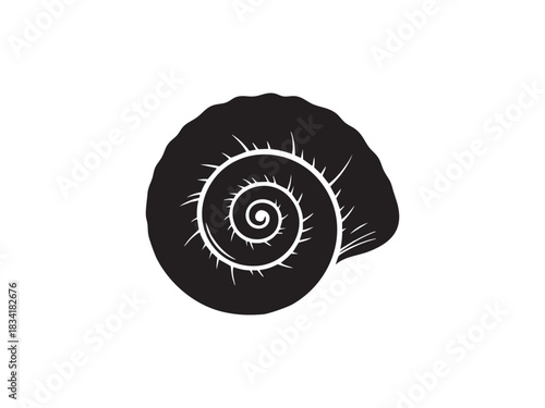 Spiral Seashell Silhouette Design Featuring Ocean Animal Shells From Beach