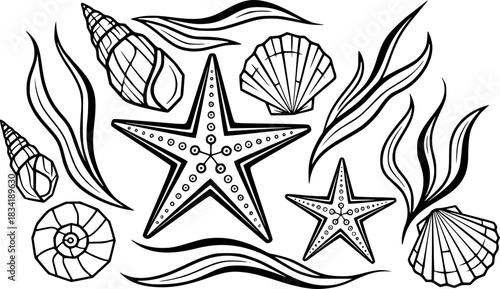 Elegant Black and White Sea Life Illustration Starfish, Seashells, and Seaweed
