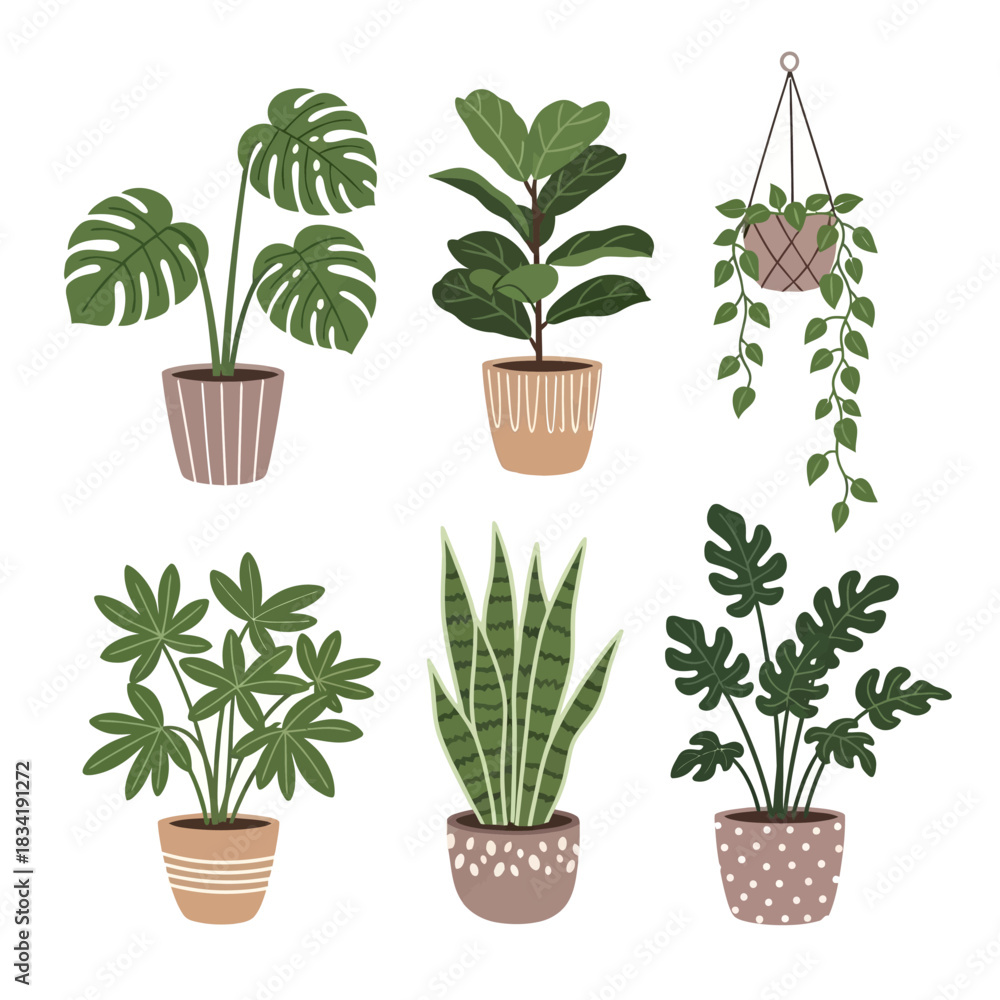 Obraz premium Collection of six potted houseplants in various styles and sizes.