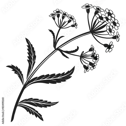 Purple Gradient Verbena Flower Cluster Design