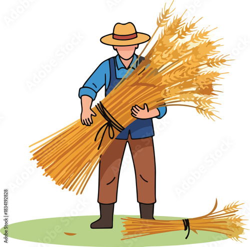 Farmer holding a large bundle of harvested wheat stalks on a green patch
