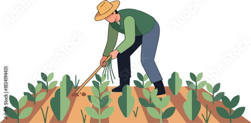 Farmer in straw hat weeding a field of young green plants with a hand tool