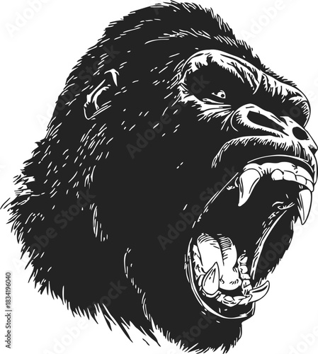 Gorilla head sketch, hand drawn roaring face with open mouth and sharp teeth. Vector illustration