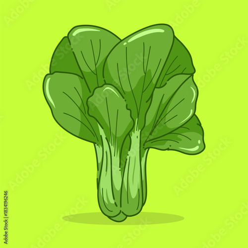 Editable Vector Illustration of bok choy (pakcoy) with a clean green background. Perfect for food packaging, healthy eating designs, restaurant menus, organic product labels, recipe Design.