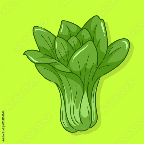 Editable Vector Illustration of bok choy (pakcoy) with a clean green background. Perfect for food packaging, healthy eating designs, restaurant menus, organic product labels, recipe Design.